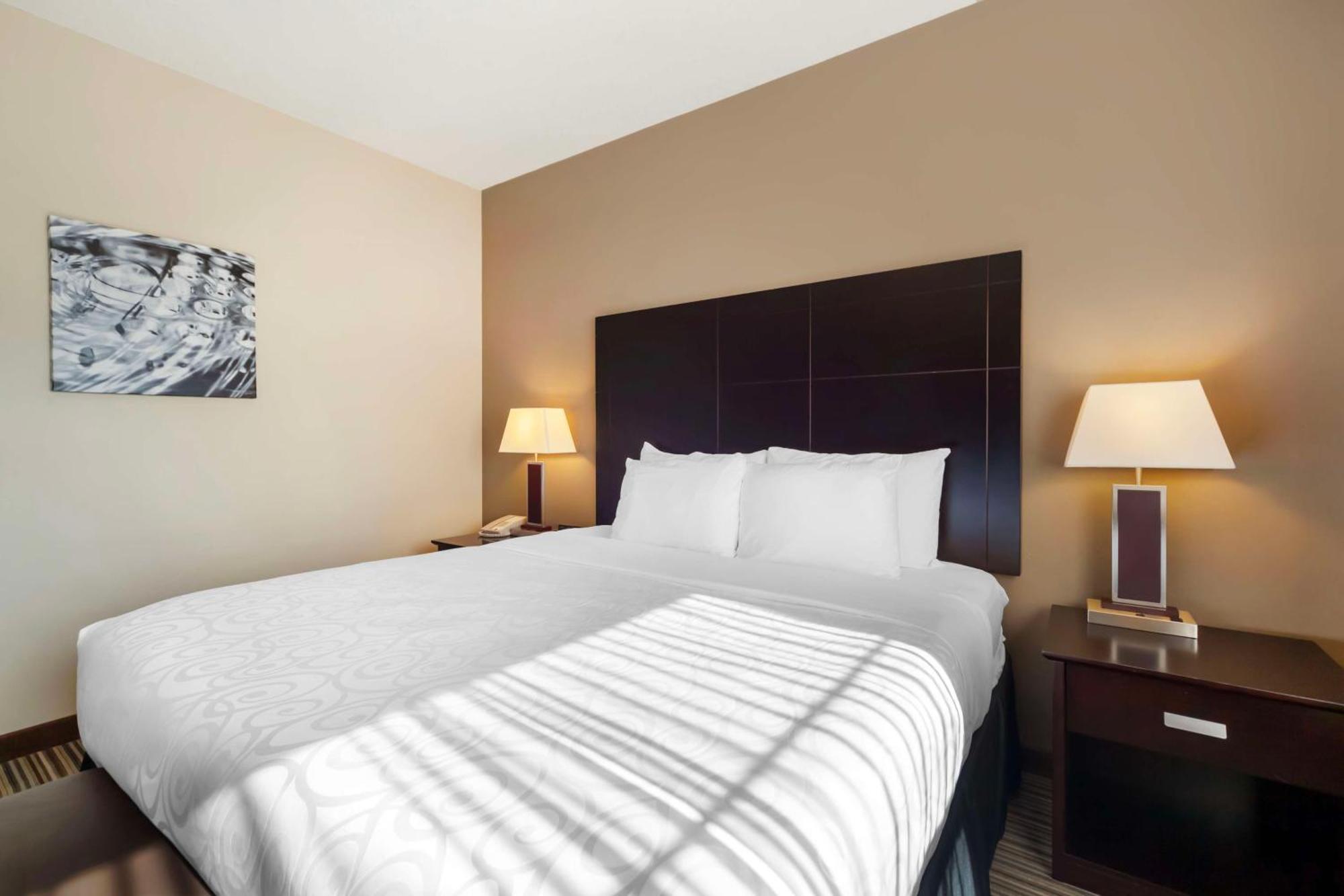 Best Western Plus Peace River Hotel & Suites Екстериор снимка